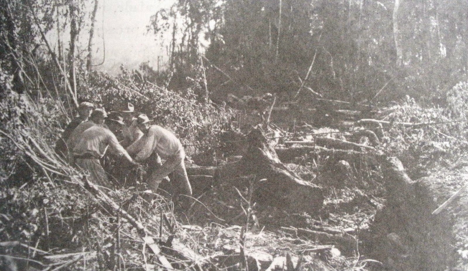 A chegada histórica: a expedição que desbravou Londrina em 1929