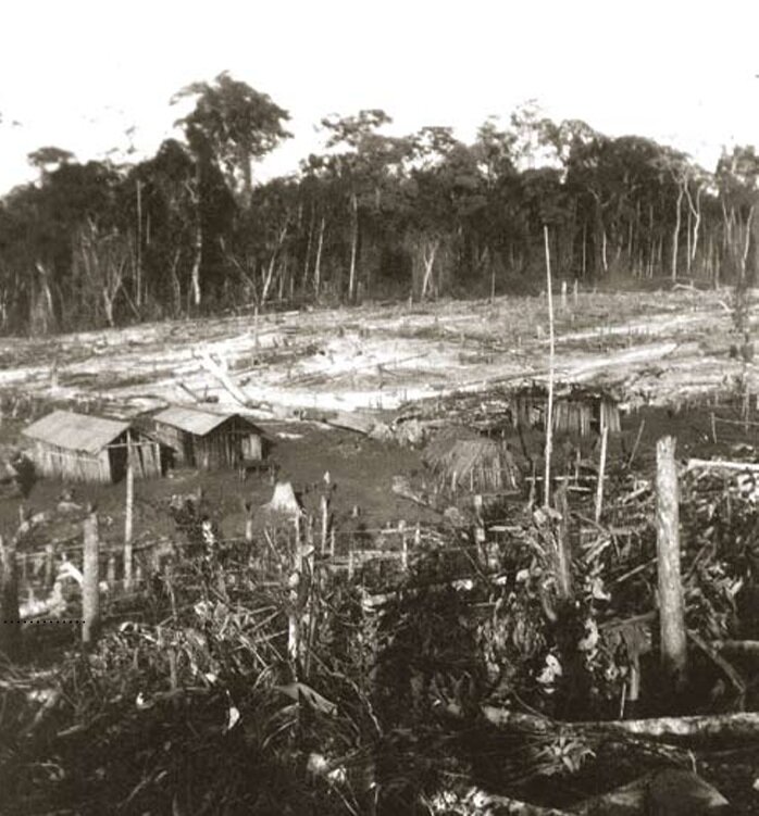 Antes da cidade, a clareira