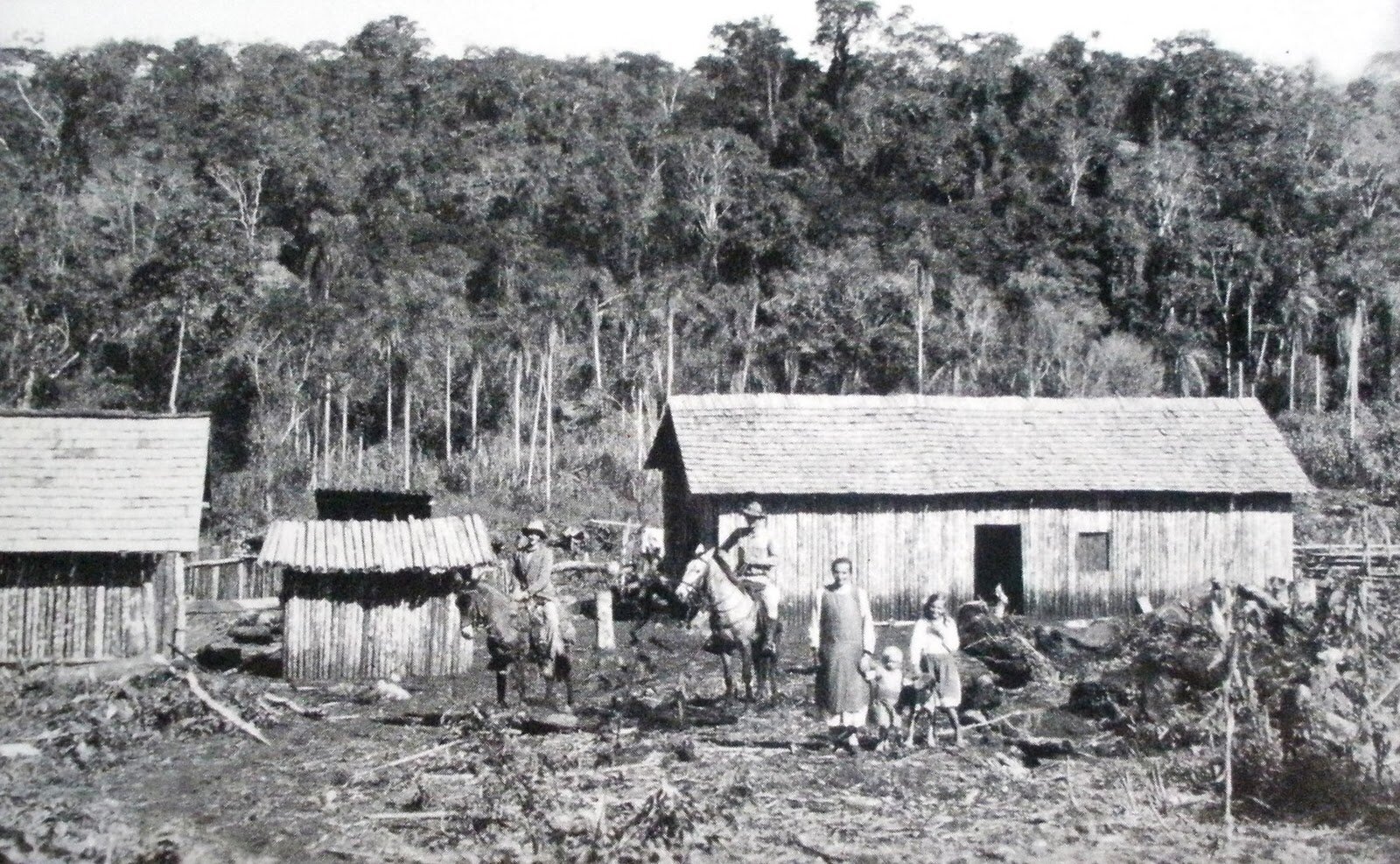 Coração de madeira: a saga de uma família no centro pioneiro de Londrina
