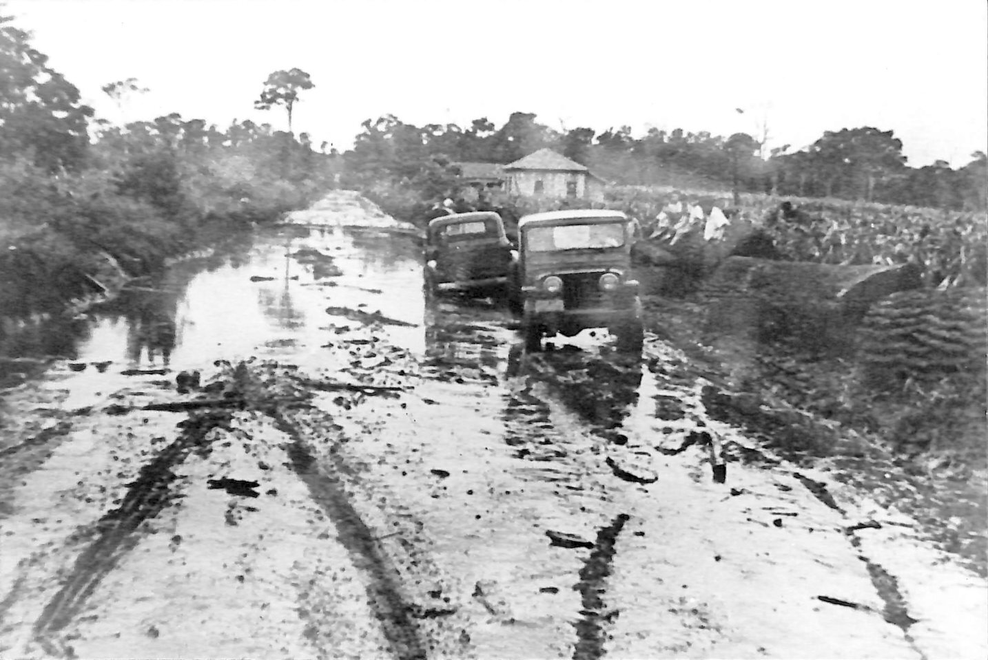 A estrada entre Londrina e Maringá em 1945