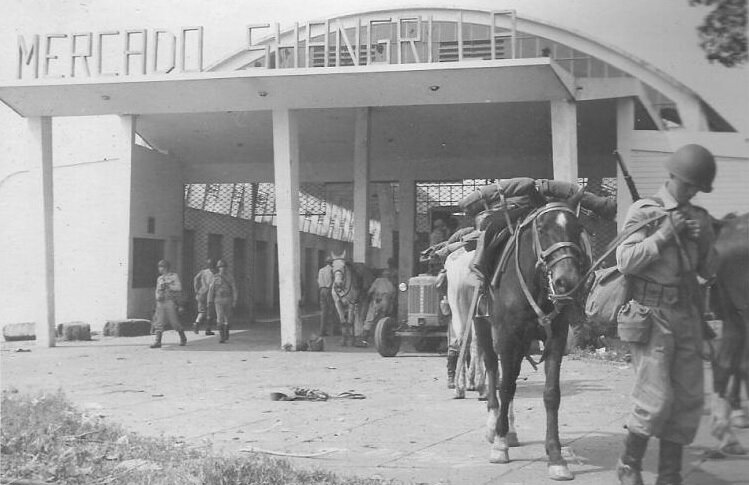 Mercado Shangri-lá