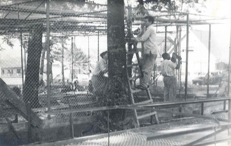 Teatro no Bosque: “O Boi e o Burro a Caminho de Belém”