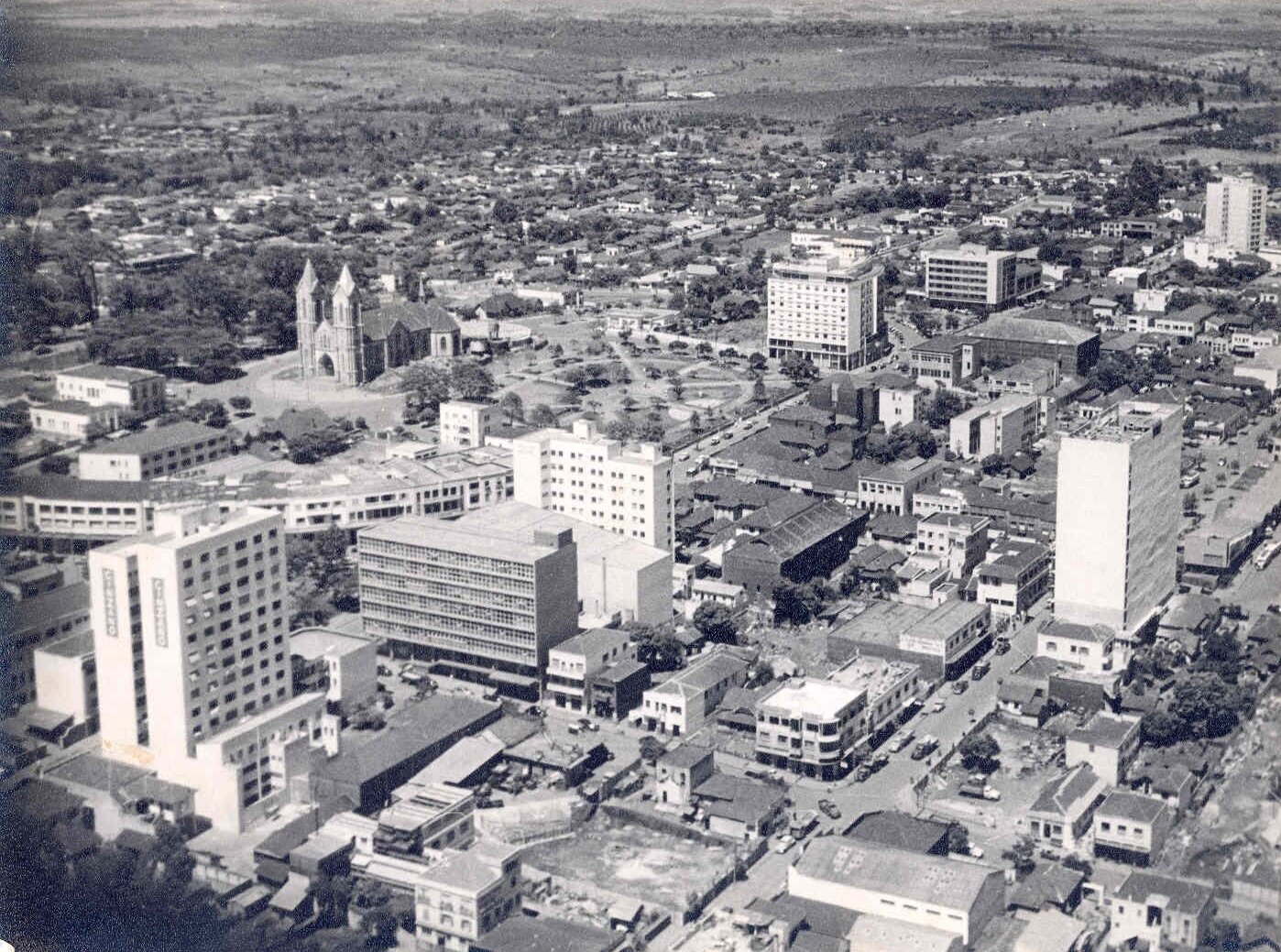 Sombra e desenho: a arborização como projeto de cidade nos anos 1950