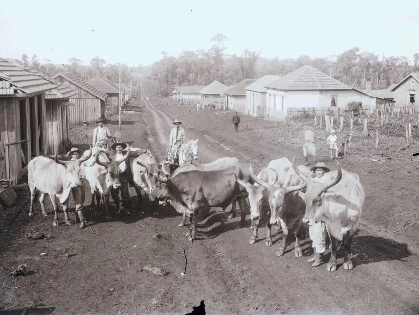 Entre a picada e a cidade: o caminho que fez Londrina crescer