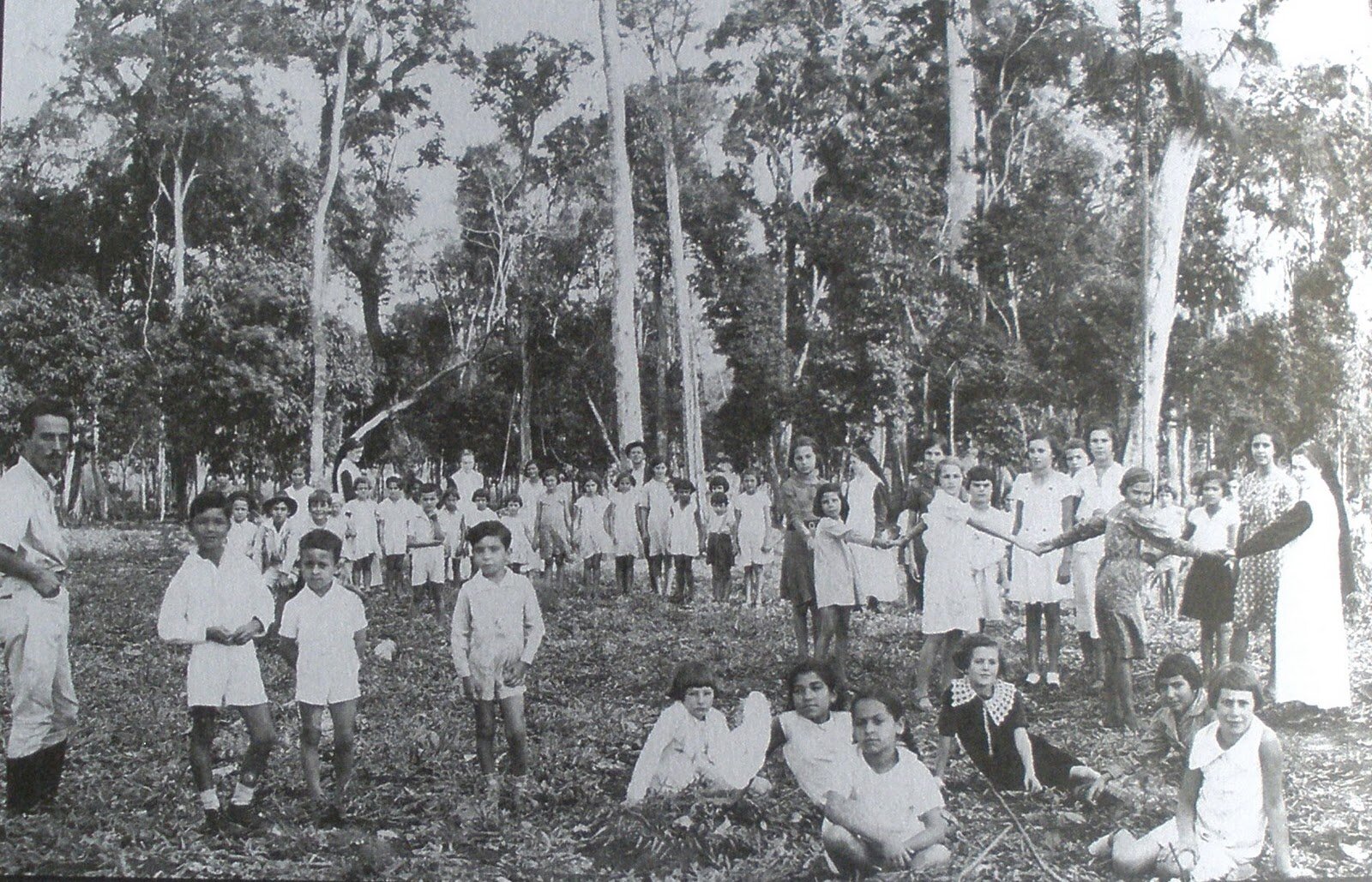 Bosque, infância e inocência